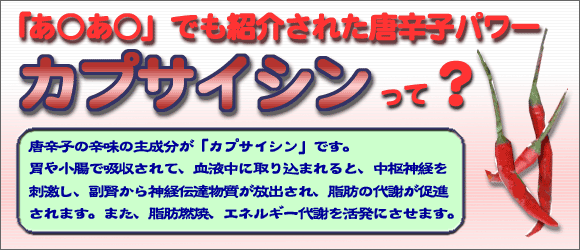 �J�v�T�C�V���Ƃ�