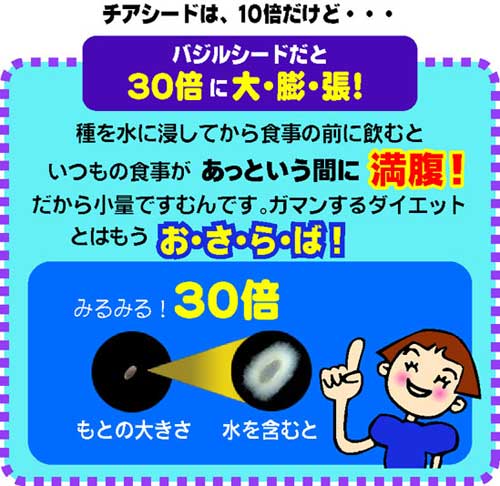 �o�W���V�[�h�̓`�A�V�[�h��3�{�c��