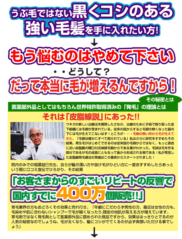 発毛理論 皮脂腺説
