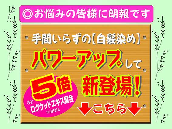 ヘナ、ヘマテイン配合白髪染め