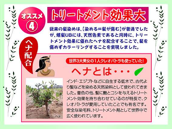 天然白髪染め
