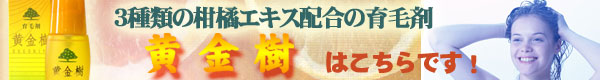 育毛剤 黄金樹発売中