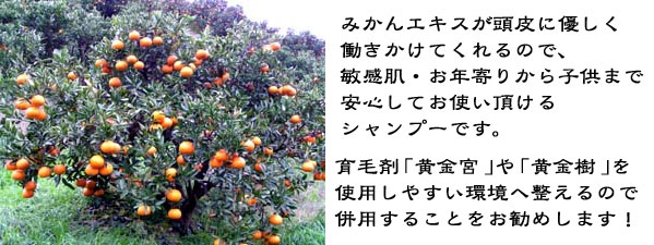 アミノ酸系石けんシャンプー黄金香のみかん畑