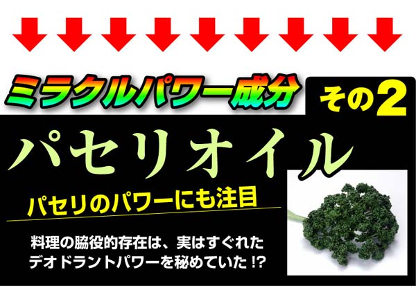 臭麗GOLDの特徴9