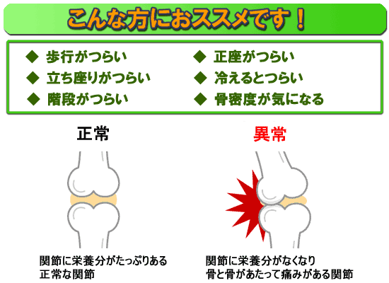 元気な中高年・グルコサミン&コンドロイチンは腰、膝、関節痛にお勧め!