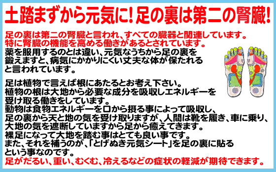 とげぬき元気シートは土踏まずに