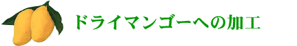 �h���C�}���S�[�ւ̉��H