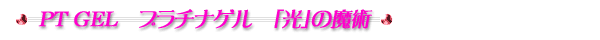 PT�W�F�� �v���`�i������e�t ���̖��p