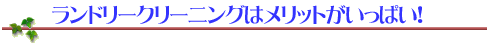 �����h���[�N���[�j���O�̓����b�g�������ς��I