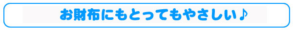エコポカバス&ゆたんぽはお財布にもやさしい