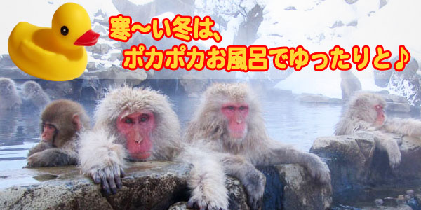 冬はお風呂。エコポカバス&ゆたんぽ